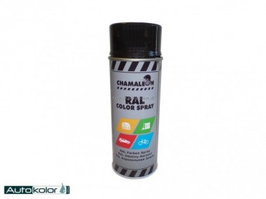 Spray -  RAL 9005 / czarny poysk 400ml